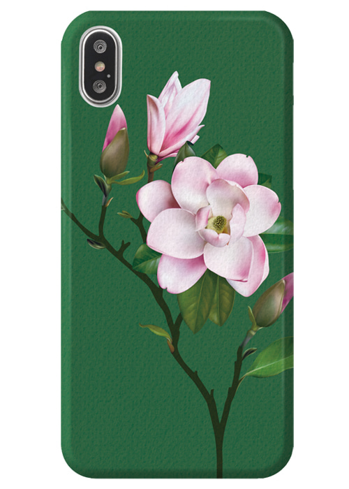 flower_watercolor_magnolia26_green