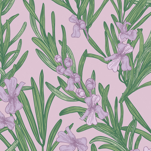 flower_lavender_violet